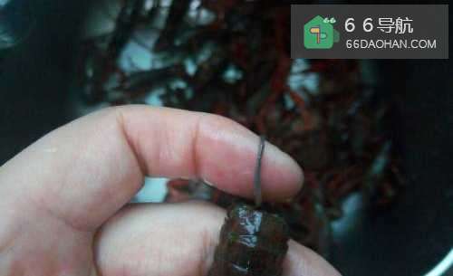 【麻辣小龙虾】简单做法