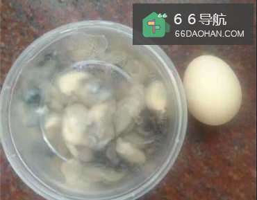 海蛎煎做法