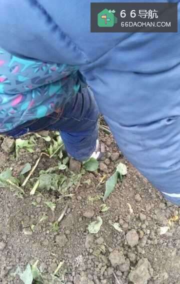 怎样教小孩子做陷阱