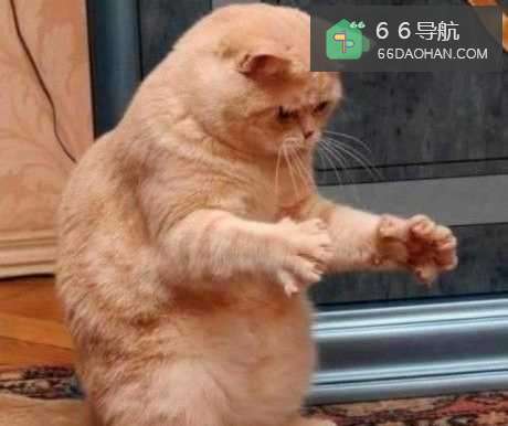 恋爱中受伤了怎么样处理