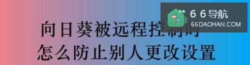向日葵被远程控制时怎样防止别人更改配置