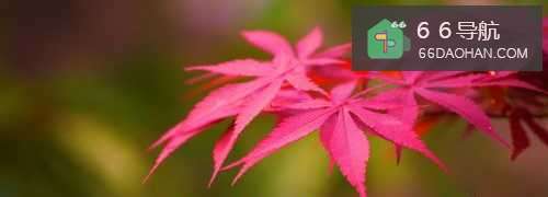 怎样在公司脱颖而出?