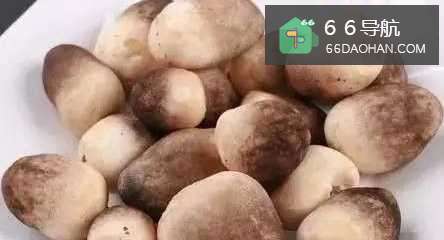 草菇都能如何吃呢？