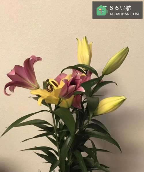 喜欢上最好闺蜜的男友怎么样做