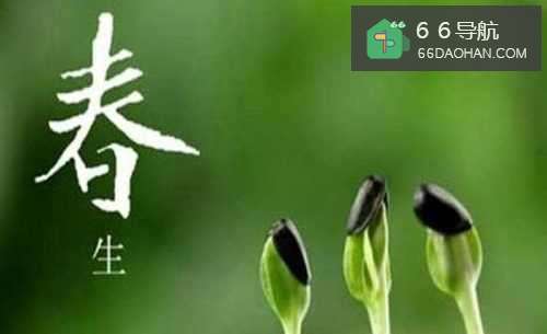 春天能做何种有趣的事情