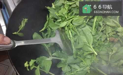 怎么样炒菜头好吃