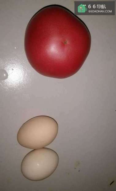 如何做西红柿炒鸡蛋