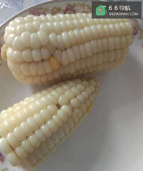 黏玉米如何煮好吃