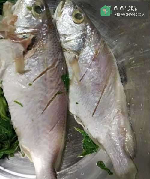 怎么在家制作家常菜炸黄鱼