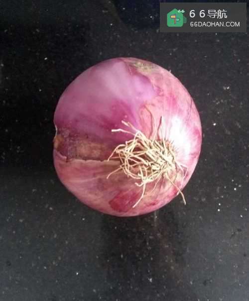 洋葱瘦肉该怎样做？（家常菜）