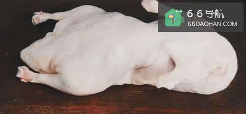教你做酱烧鸭，买鸭只花了9块9，烧出来够吃三顿