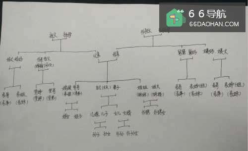 亲戚关系称呼图解