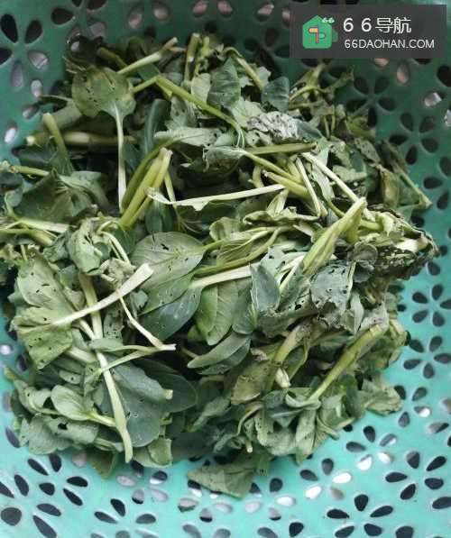 家常菜--青菜烧狮子头