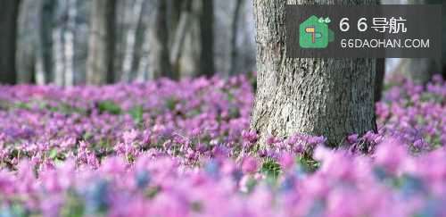 怎么样成为一个好老公