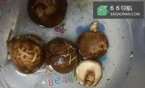 猪肉炒香菇怎样做比较好吃