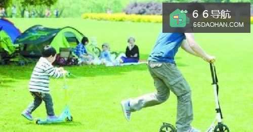 父亲和儿子应该一起做的事情