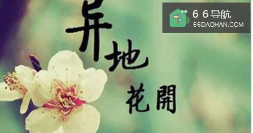 如何更好的维持异地恋？