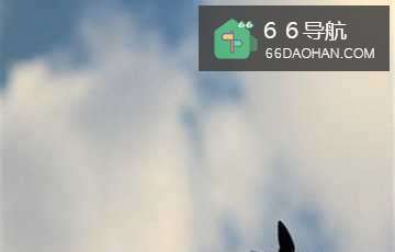 婚姻小秘书：[56]男人应该学会回家