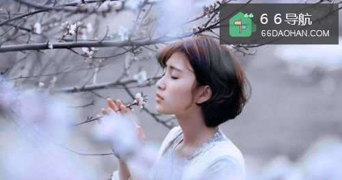 麋鹿情感：捍卫婚姻需要做何种准备？