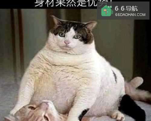 关于跳槽,我想和年轻人说说努力与幸福的选择