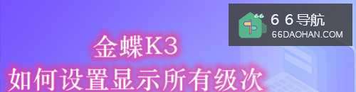 金蝶K3怎么样使用显示所有级次