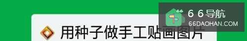 用种子做手工贴画图片
