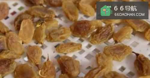 葡萄干生虫了如何做