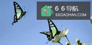 恋爱要细心,观看察和思考,寻觅出最喜爱的人