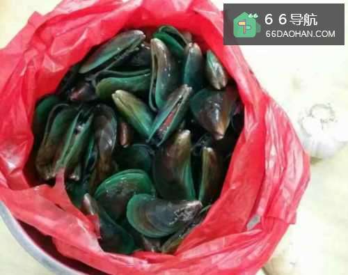 青口怎么样做好吃