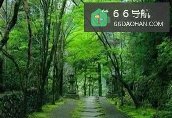 怎么样谈恋爱：[8]谈恋爱是彼此了解的过程