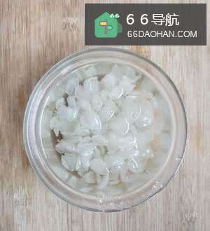 豆浆机一键式桃胶皂角米美容冻