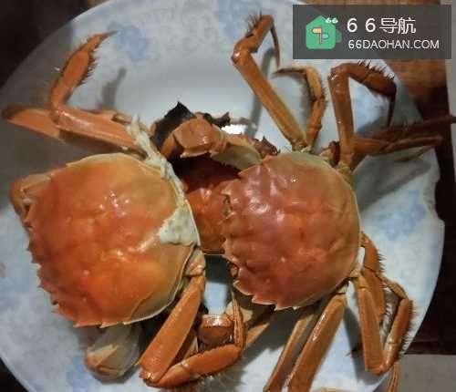 清蒸大闸蟹的家常做法