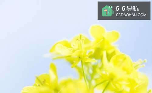 追求女孩子常犯的13个错误,追女孩子有何种错误