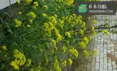 清明节适合带孩子去哪里玩