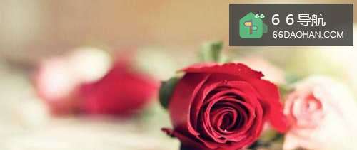 第一次过情人节怎么样过,情人节要注意啥