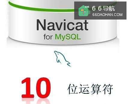必须掌握MySQL的位运算符有几类？