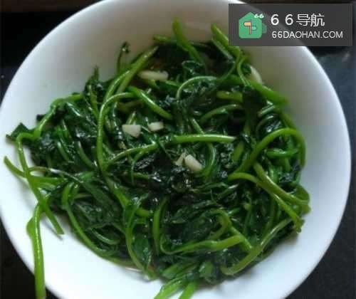 猫耳菜怎么样做好吃?