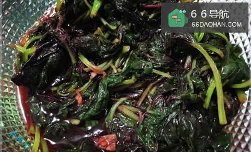 家常菜系凉拌苋菜