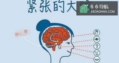 容易紧张怎么样处理 经常紧张怎么样处理