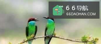 心情烦躁了怎样快速平复?