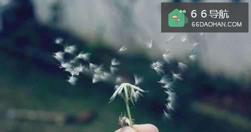 当心情处于低落时,怎样调整心态