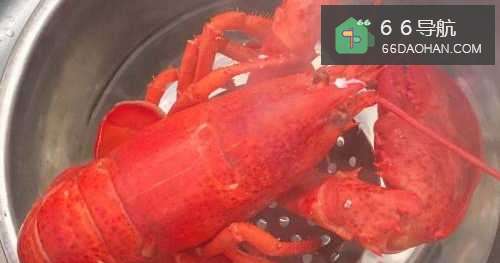 【芝士焗龙虾】简单做法