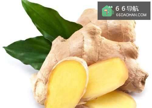 永不晕车的法子