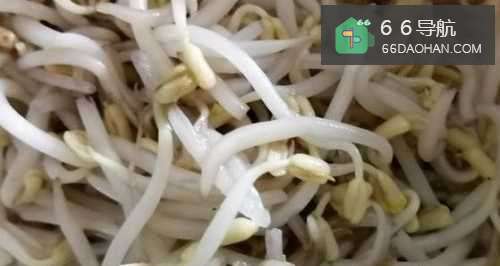 炒豆芽的做法步骤,三分钟包你喜欢！