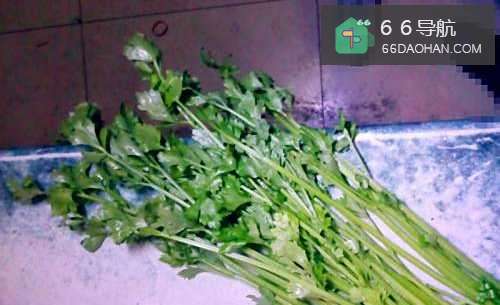 如何做家常菜——芹菜炒鸡蛋