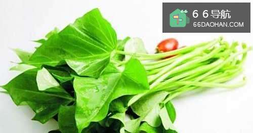 地瓜叶的家常做法