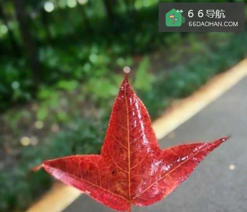 爱一个你深爱的女孩子-做到这些