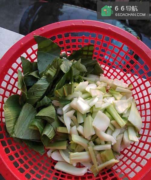 电磁炉清炒青菜技巧