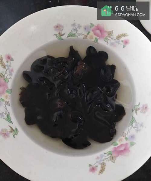 家常菜--杏鲍菇炒木耳