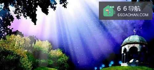 被逼婚的处理方式